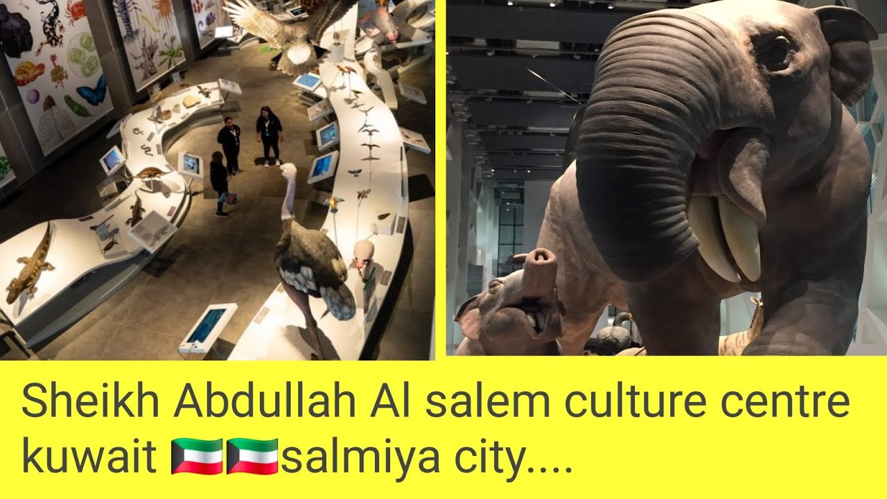 Sheikh Abdullah Al salem culture centre... Kuwait 🇰🇼🇰🇼🇰🇼 salmiya city... 🇰🇼