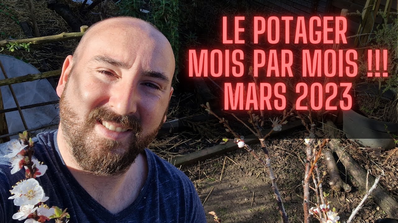 Le potager en mars !!! Potager mois par mois !!! MARS 2023