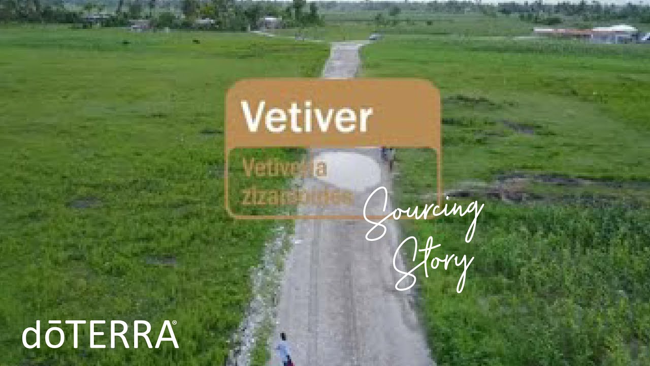 doTERRA Co-Impact Sourcing Vetiver
