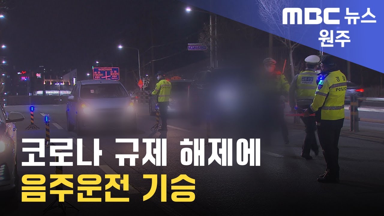 2023. 3. 28 [원주MBC] 코로나 규제 해제에 음주운전 기승
