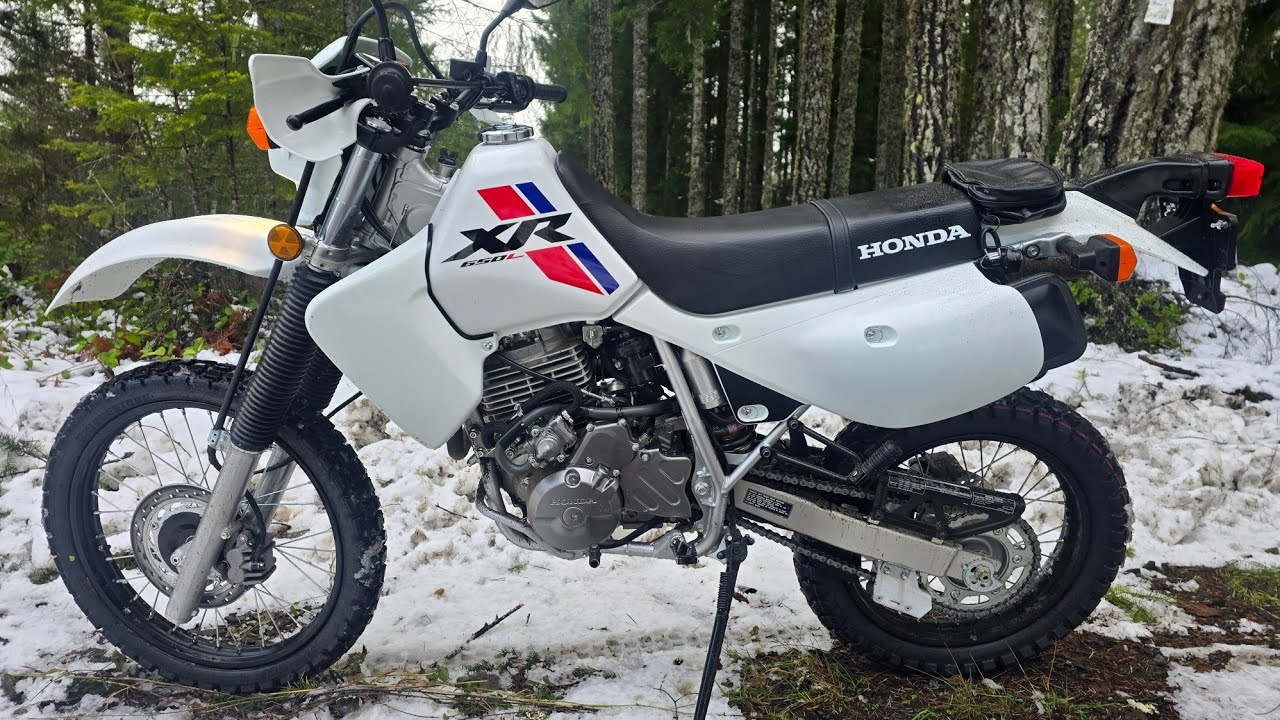 Honda XR 650L 2025 года / Первые впечатления от поездки / Высокий мотоцикл и невысокий водитель...