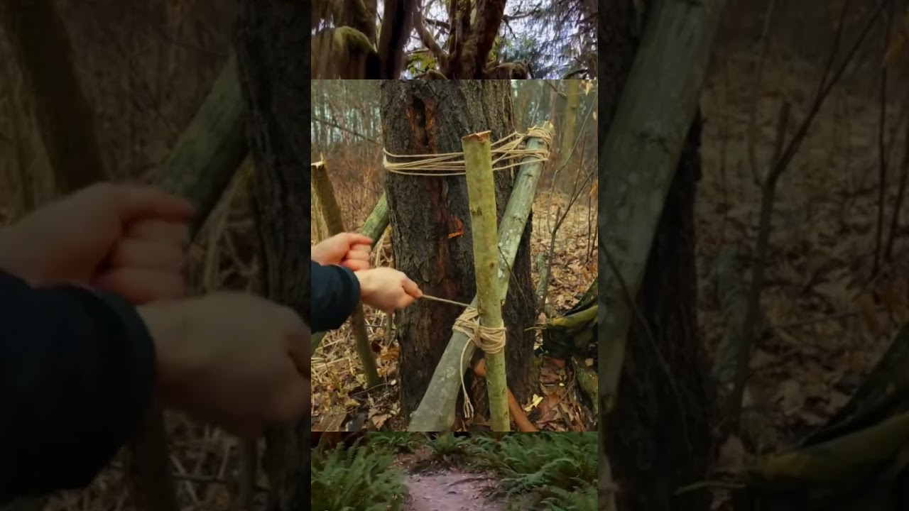 Building shelter / DIY Wood / Decor home / Plastic house / Live in forest / Survival / Camping