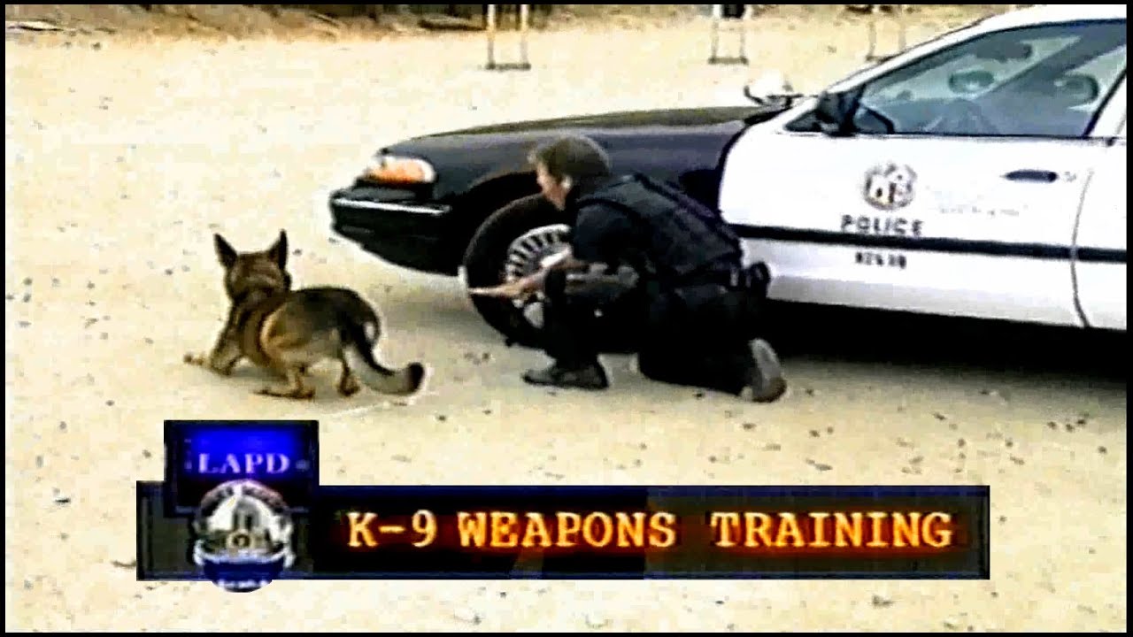 LAPD Life on the Beat K9 Weapons Training