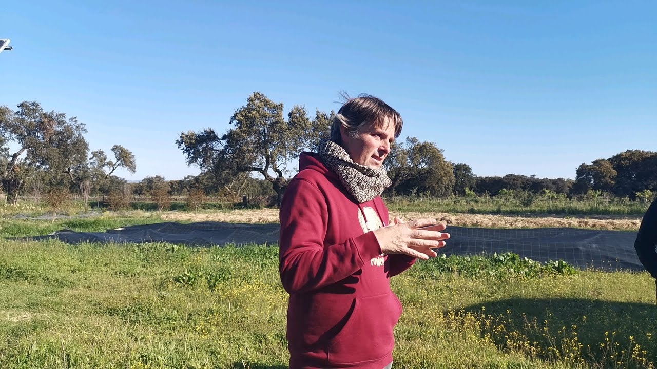 Artesania de la Huerta