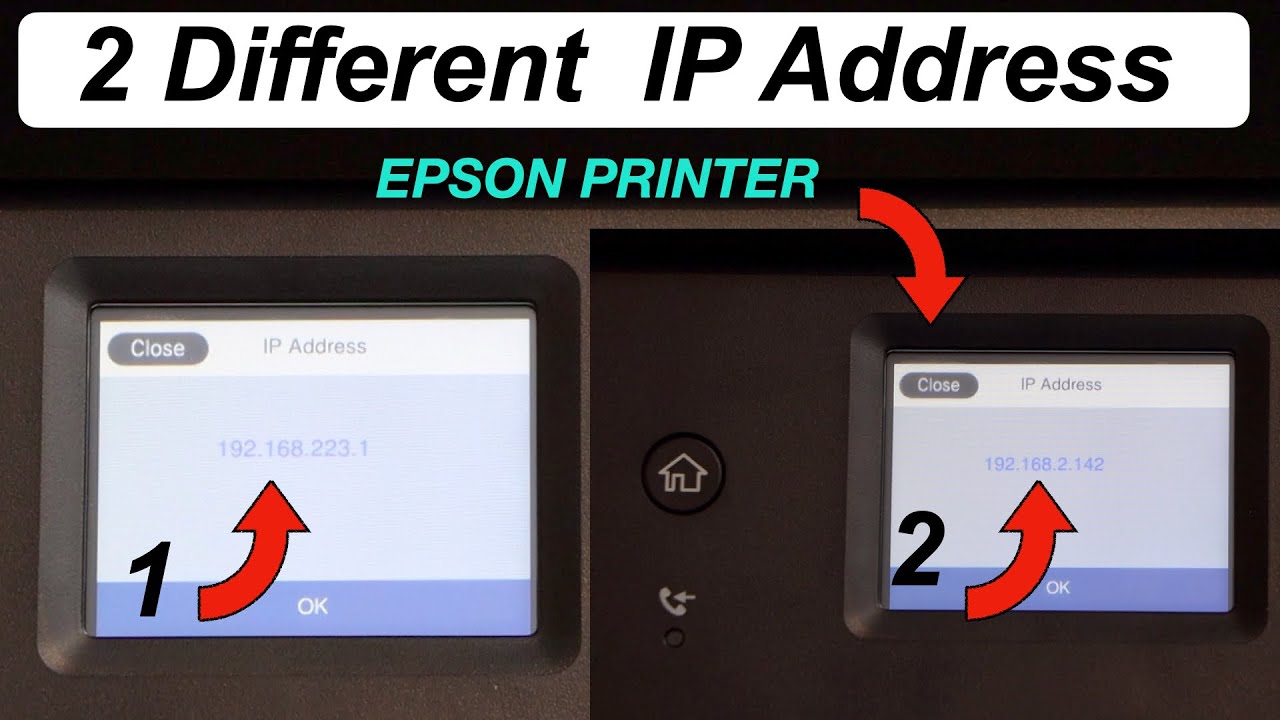 Как узнать IP-адрес принтера Epson?