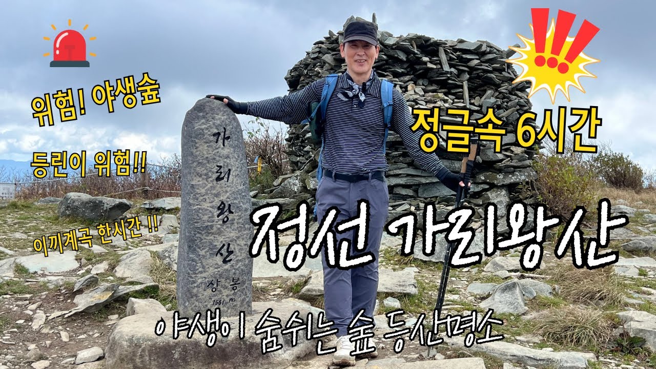 정선 가리왕산 야생 정글에서 6시간 힐링타임, 100대 명산 가리왕산 등산코스