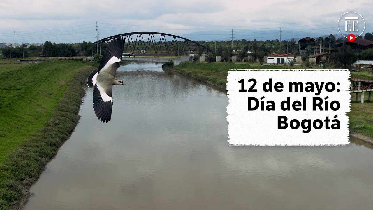 Recuperar el Río Bogotá, la tarea de salvar un río de toneladas de basura | El Espectador