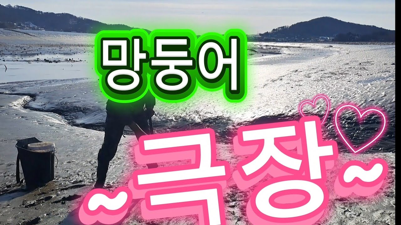 갯벌 망둥어 극장
