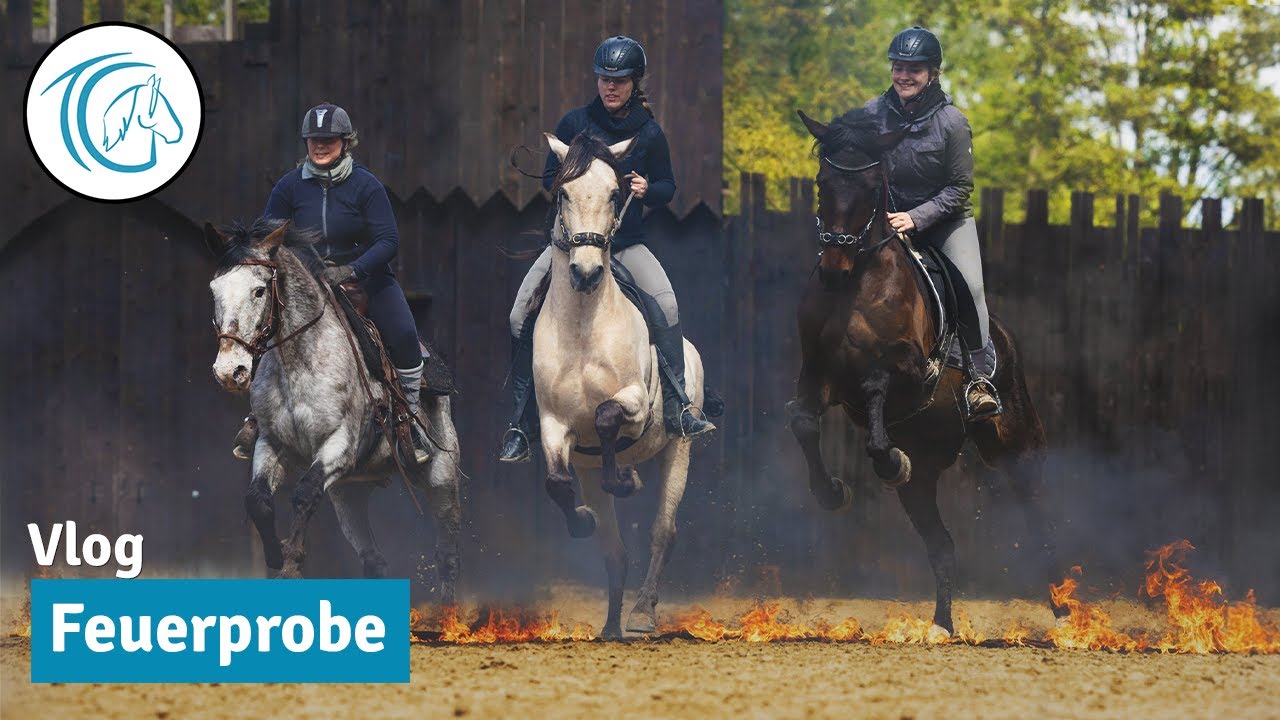 Mit dem Pferd durch die Flammen | Feuerkurs 2024