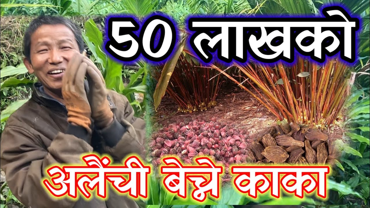 छोराले सात बर्षमा 14 लाख बाउले घरमै एक बर्षमा 25 लाख कमाए!!
