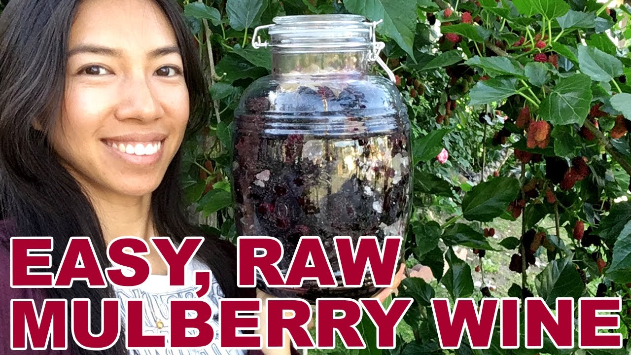 How To Make Wine With 2 Ingredients