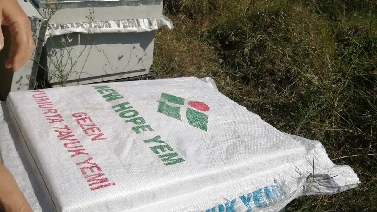 Arıcılık. sıkışık arı ile seyrek arı arasındaki fark. 22 Ekim