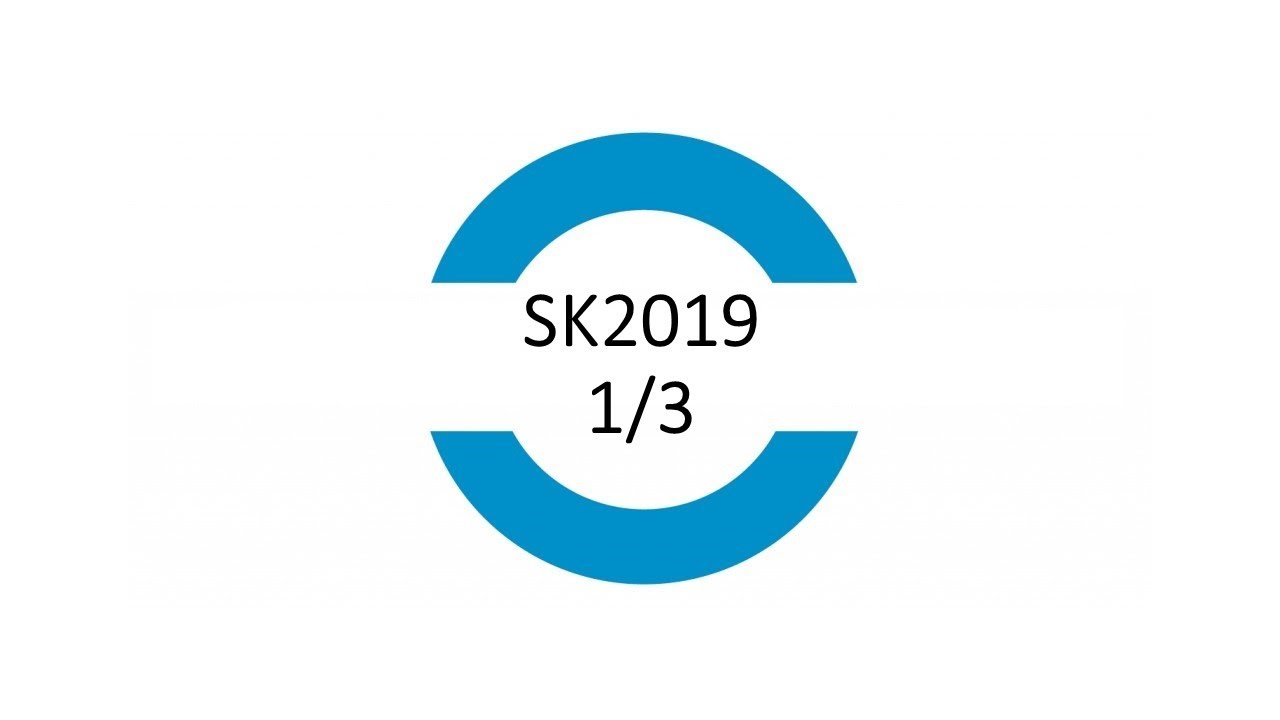 SK2019-Tagung in Frankfurt (1/3)