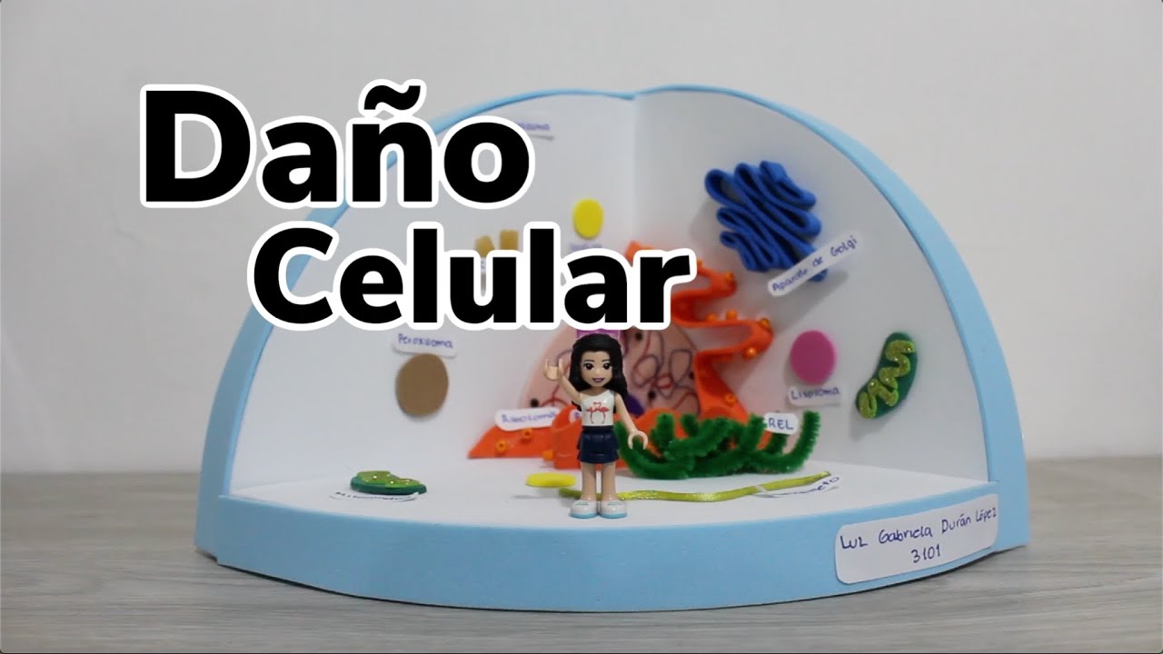 Daño celular - tipos de lesión celular, muerte celular y sus tipos...