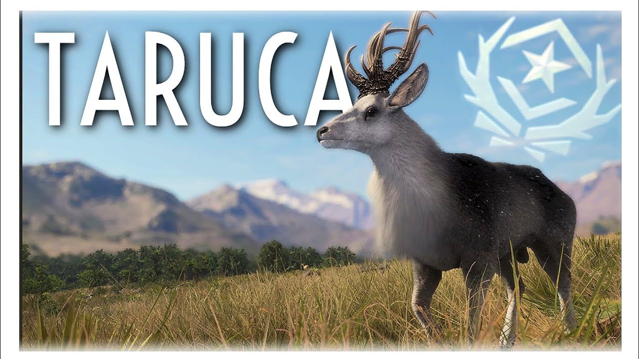 НОВЫЙ ВЕЛИЧАЙШИЙ ТАРУКА | theHunter: Call of the Wild