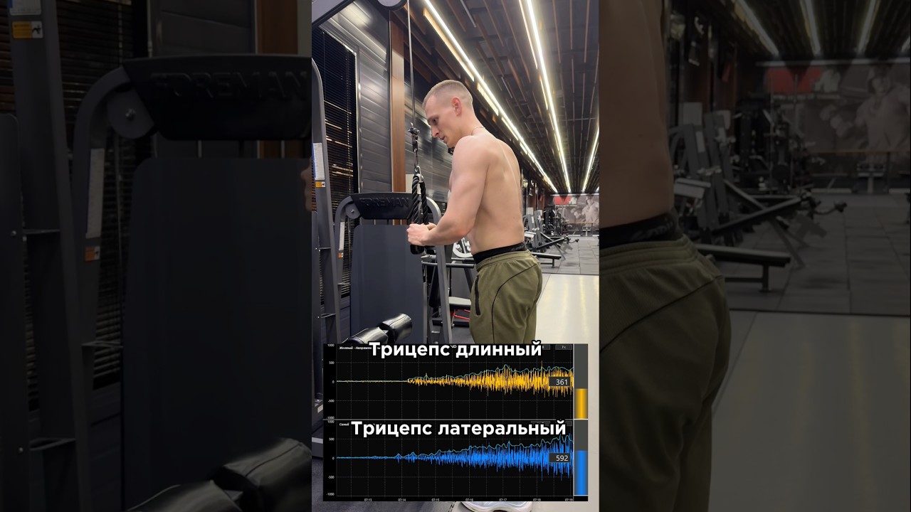 Трицепс по науке💪🏼За персональным планом обращаться в телеграмм:@TrainerSmirnoVV 🤝