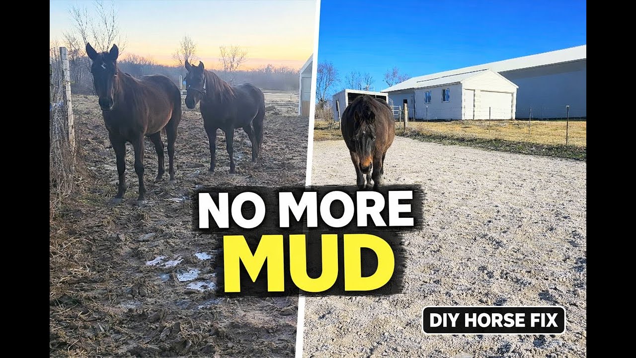 No Mud or Slipping-DIY Horse Pasture Upgrade