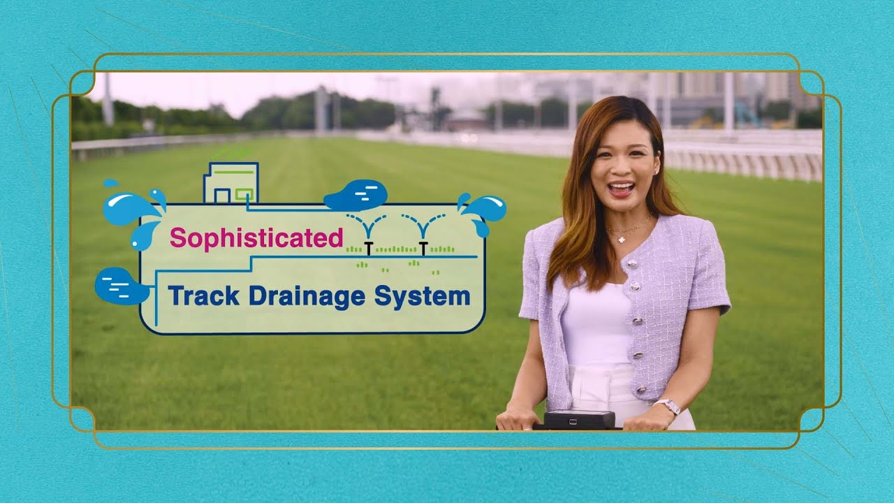 [Apprentice Trainer for 1 day] Turf Track Fun Facts