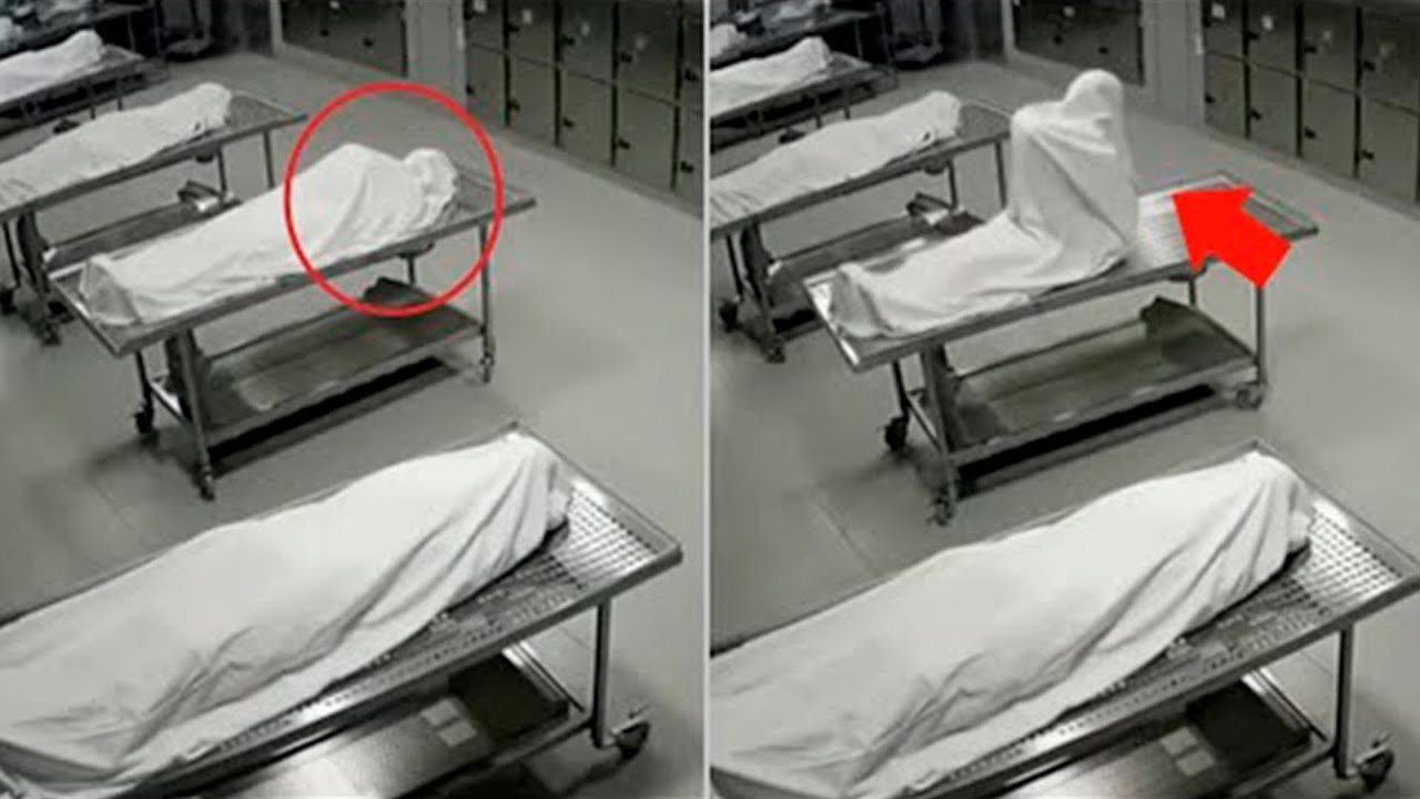 VIDEOS de TERROR REALES que te PERSEGUIR&Aacute;N toda la noche
