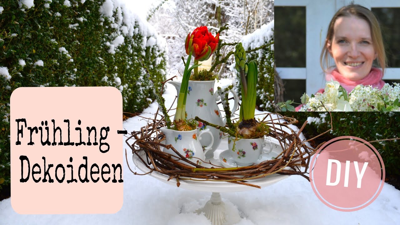 DIY: UPCYCLING - Altes GESCHIRR & FRÜHLINGSBLÜHER - IDEEN WINTER/FRÜHLING
