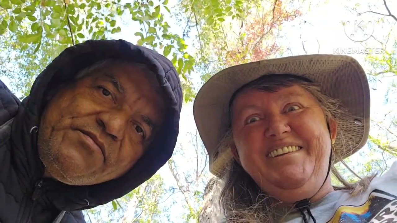 Refúgio de vida silvestre nas margens do Rio Mississippi, Wisconsin nos Estados Unidos 
