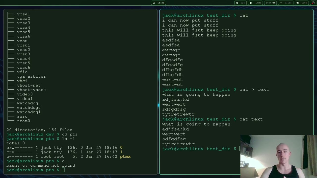 Linux Terminal :: Looking  At The Cat Command
