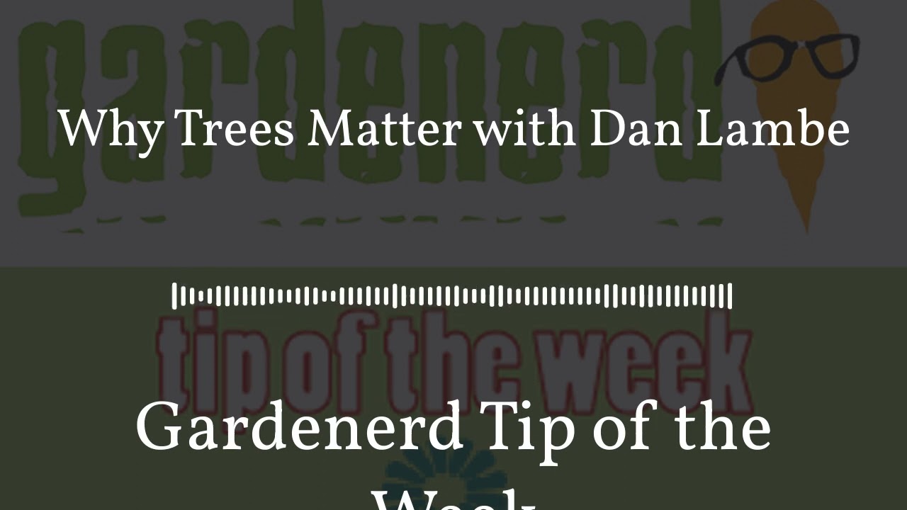 Gardenerd Tip of the Week - Why Trees Matter with Dan Lambe