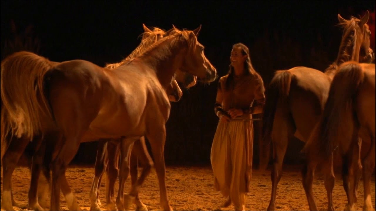 EQI, les purs sang Arabes