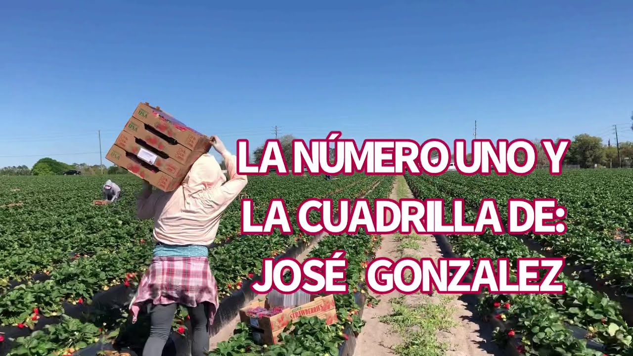 La NÚMERO UNO 😱| Parte 1 de 7