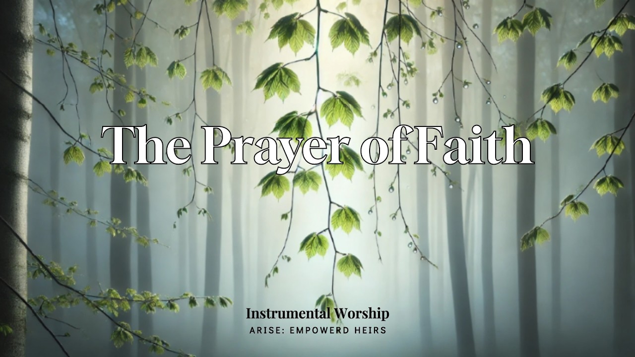 [ARISE] 1 Hour Soaking Worship InstrumentalㅣPrayer & Devotion In His Presence