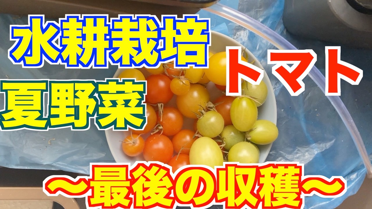 お疲れ様でしたっ！また今年もお願いします😆