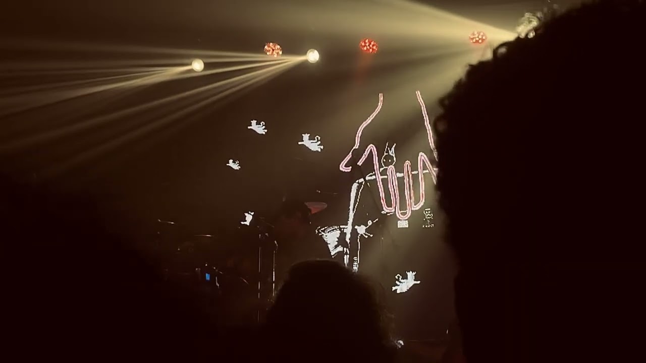 novo amor - if we’re being honest (live in são paulo)