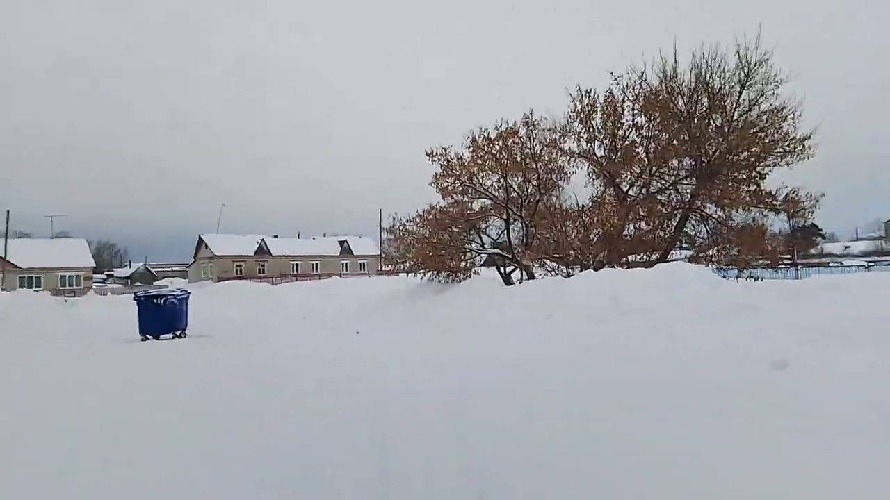 16 февраля 2026 г.