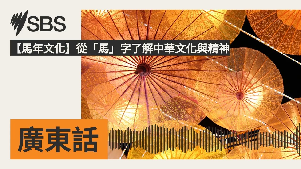 【馬年文化】從「馬」字了解中華文化與精神 | SBS Cantonese - SBS廣東話節目