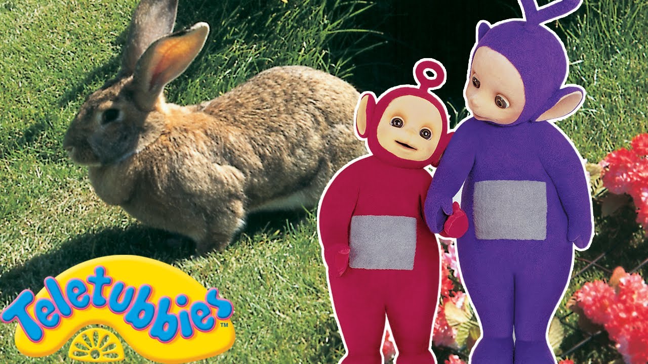 Becky e Jed Encontram Ovos I Especial de Páscoa dos Teletubbies 🐰I Episódios Completos
