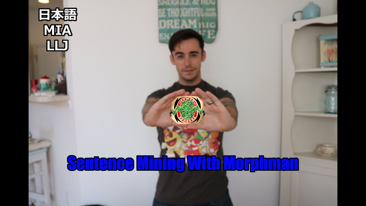 Sentence Mining With Morphman