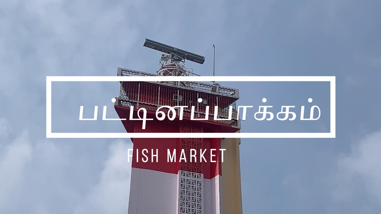 Pattinapakkam fish Market  சென்னை பட்டினப்பாக்கம்