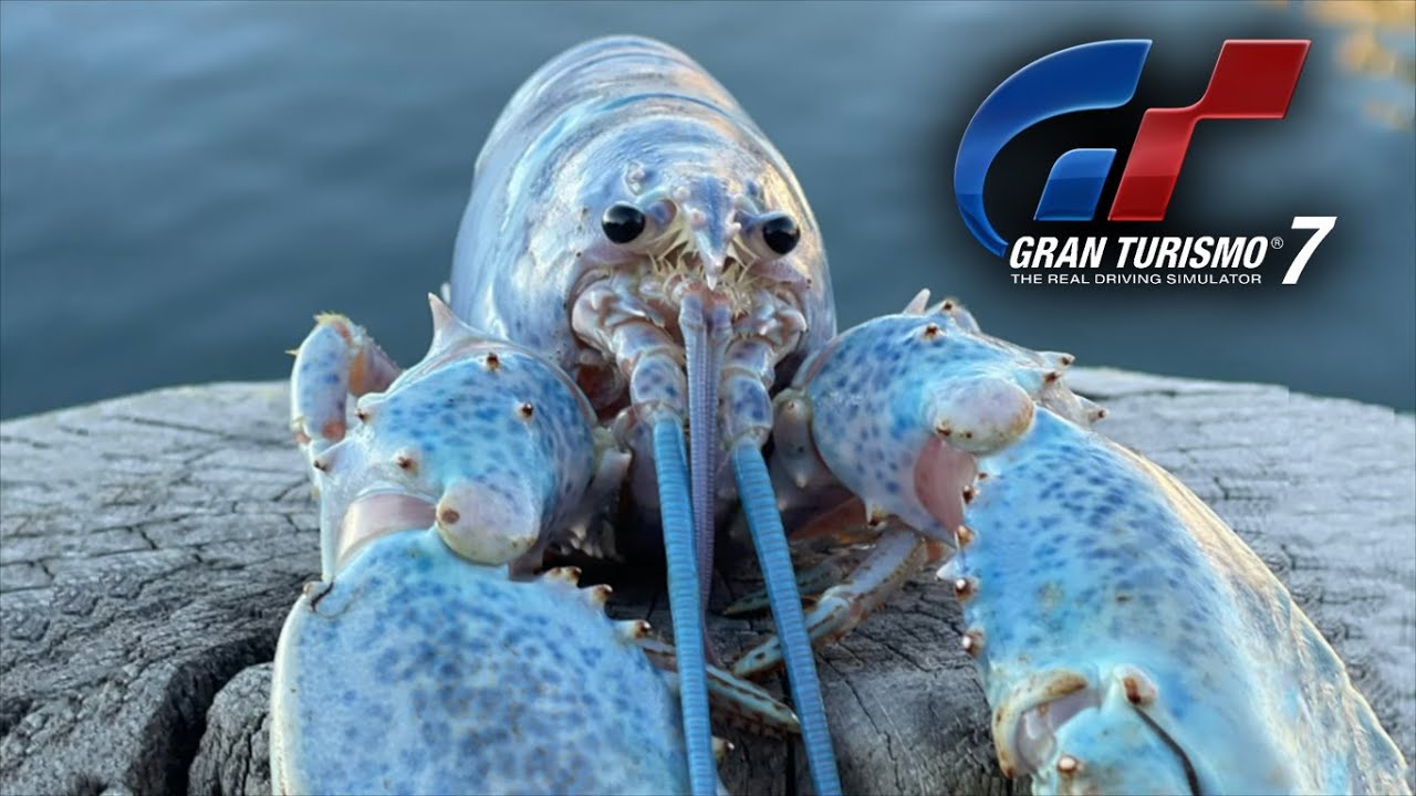 JUMPSCARE DA LAGOSTA AZUL MAS O VÍDEO SE TORNA UMA GAMEPLAY DE GRAN TURISMO 7
