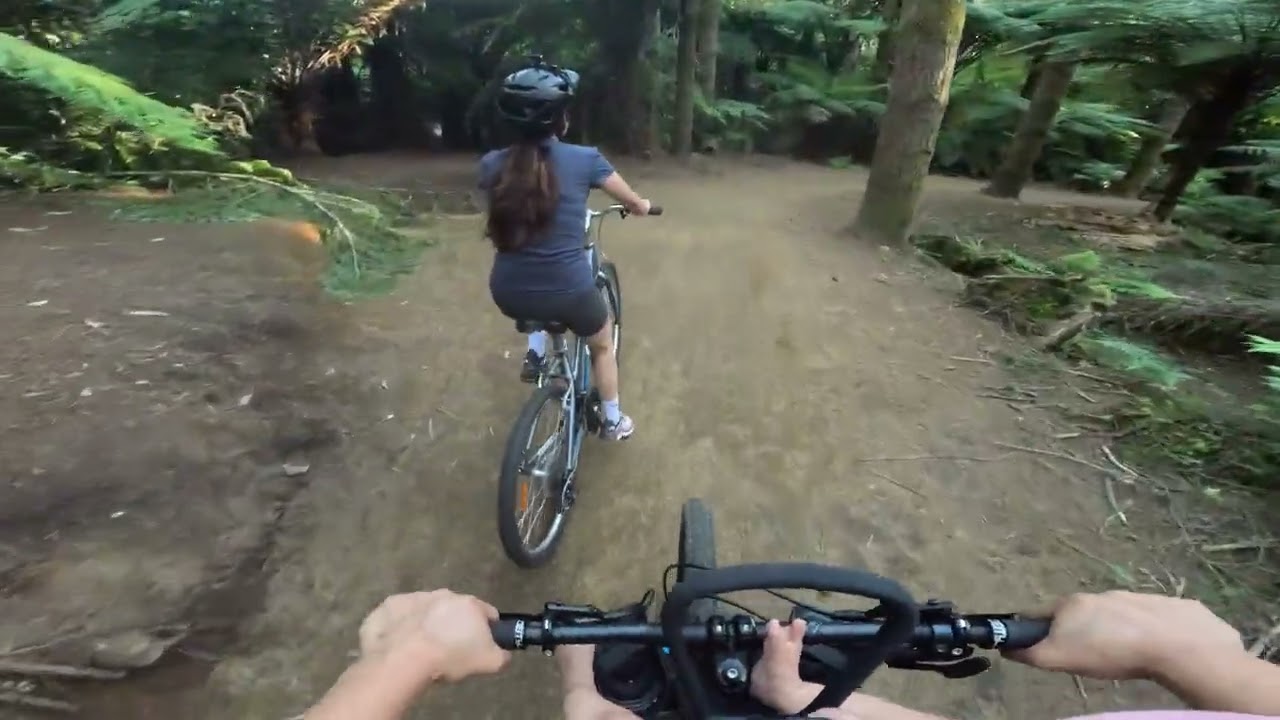 Family ride at redwoods, dipper 1km