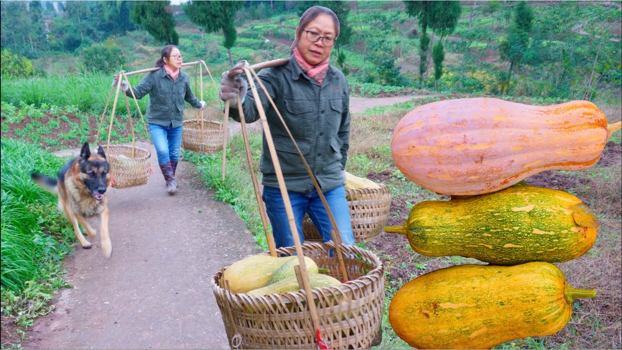 A Feast with Pumpkins | Simple Authentic Country Life | Traditional Chinese Recipes