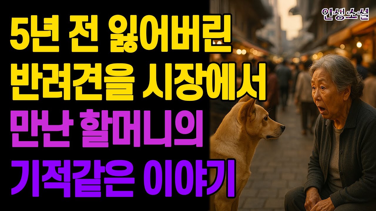 5년 전 잃어버린 반려견을 시장에서 만난 할머니의 기적같은 이야기