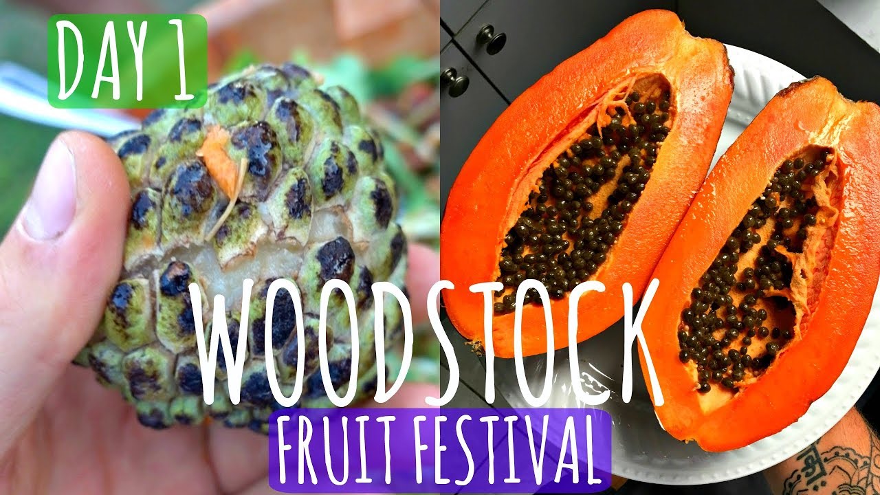 WOODSTOCK FRUIT FESTIVAL 2017○DAY 1 VLOG