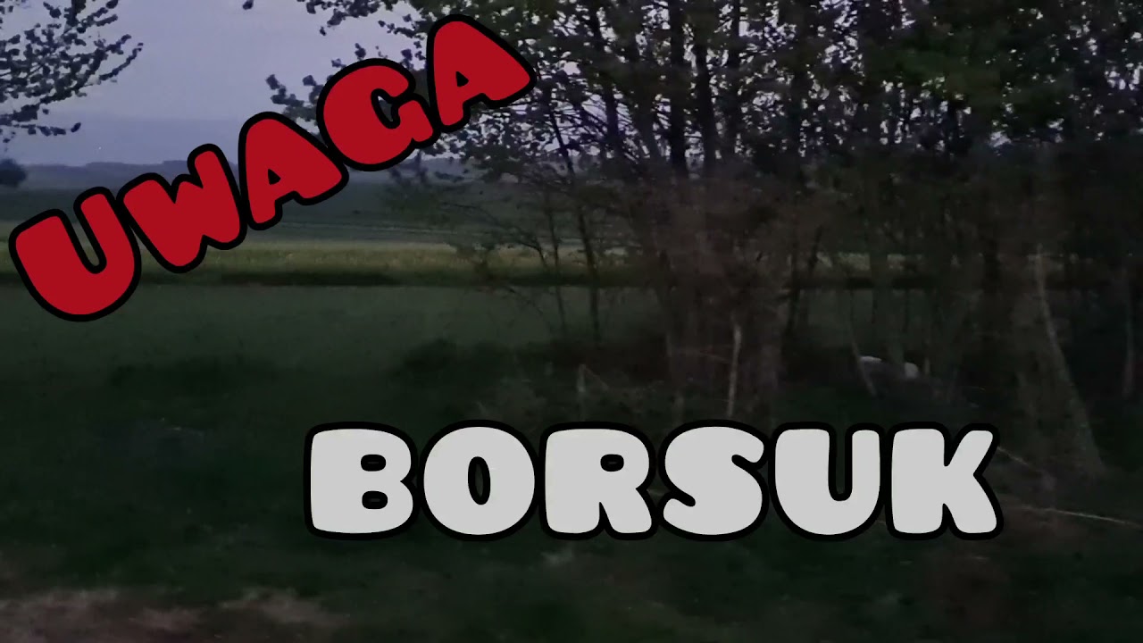 Zdziłowice - Iwany - Pola 13 Maj 2021