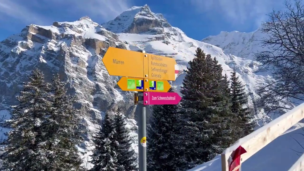 🇨🇭 4K Relaxing Winter Walk - The Jungfrau Region in Mürren, Switzerland