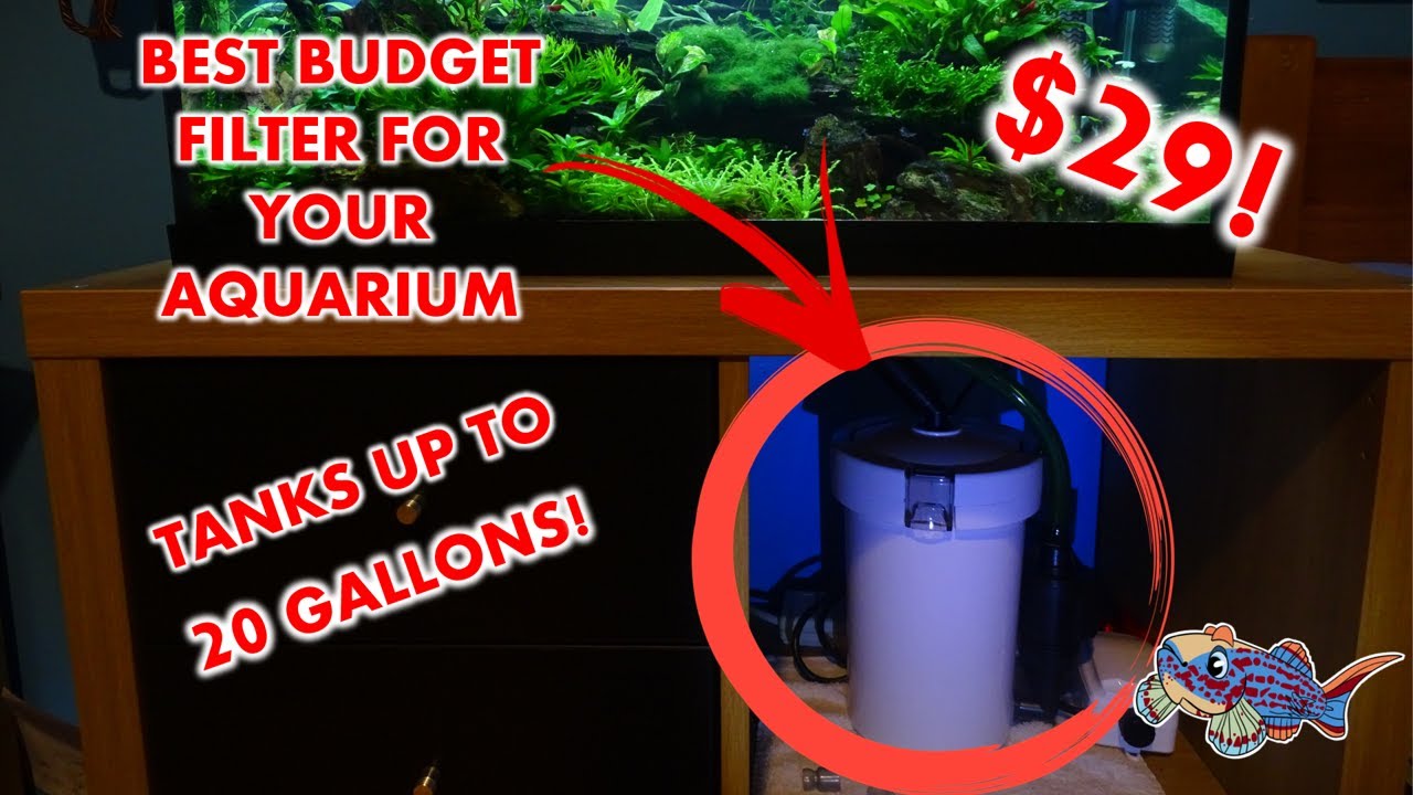 UNBOXING BEST FILTER FOR SMALL AQUARIUMS UP TO 20 GALLONS - All pond solutions/ SunSun filter review