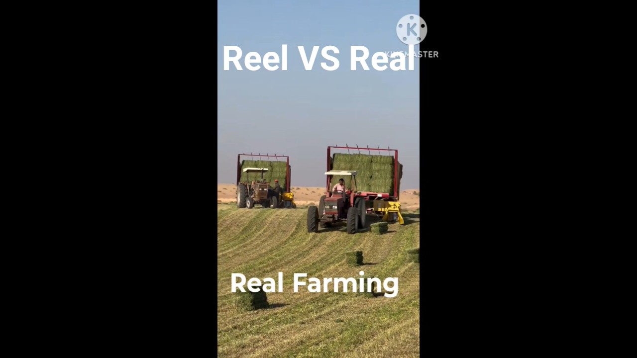 Reel VS Real #fs16 #fs18 #fs20  #fs22  #fs24 #fs25 #tractorsimulatorgame #mobilesimulator #shorts