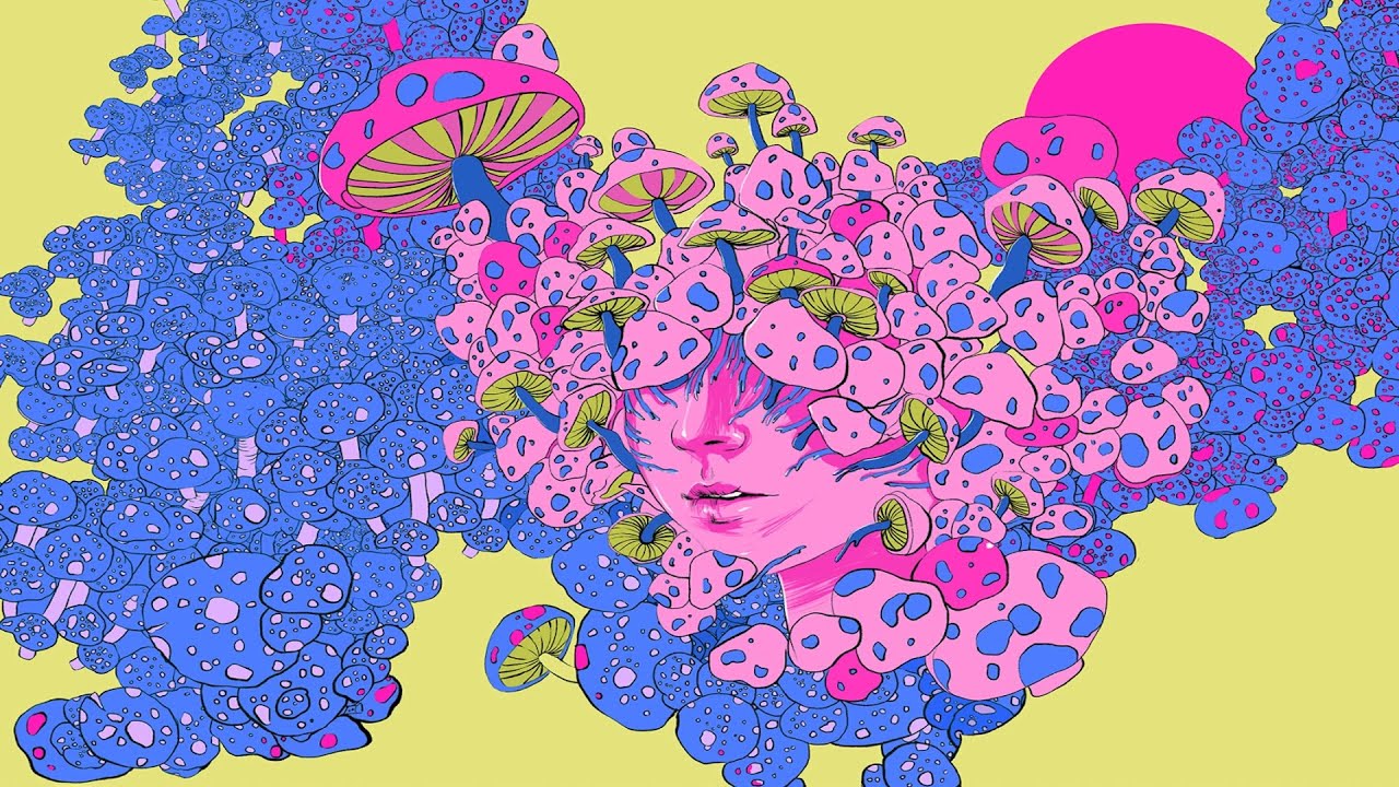 Megadose Mushroom Trip Reports | Part Two