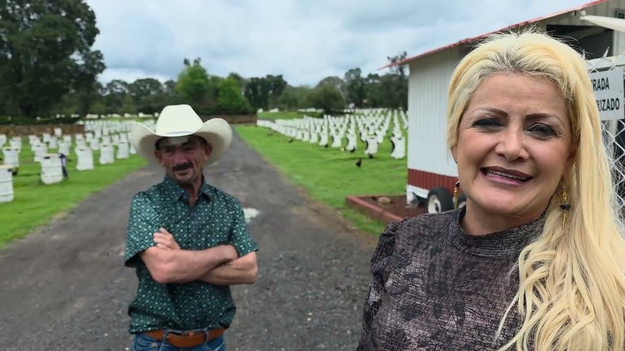 Rancho las trojes de MANOLO TORREZ chualda de crianza de gallos 🐓