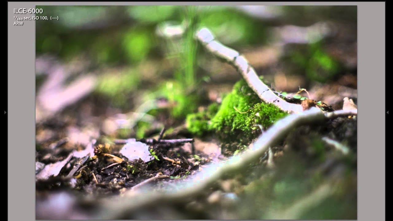 Sony Alpha A6000 Review - Best Mirrorless Camera 2014