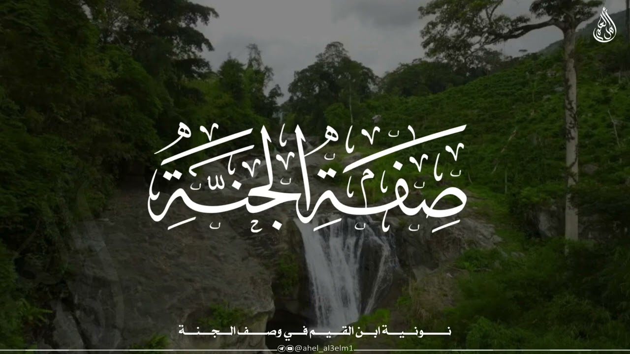 قطوف من نونية ابن القيم | فصل فيما أعد الله للمتمسكين بالكتاب والسنة - يوسف بن نوح أحمد